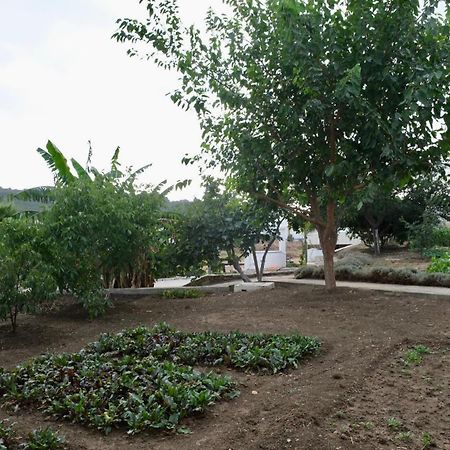 Jnane Yemma Hotel Tânger Exterior foto